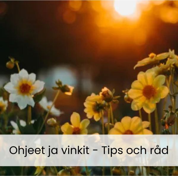 Kasveja Pohjois-Suomeen